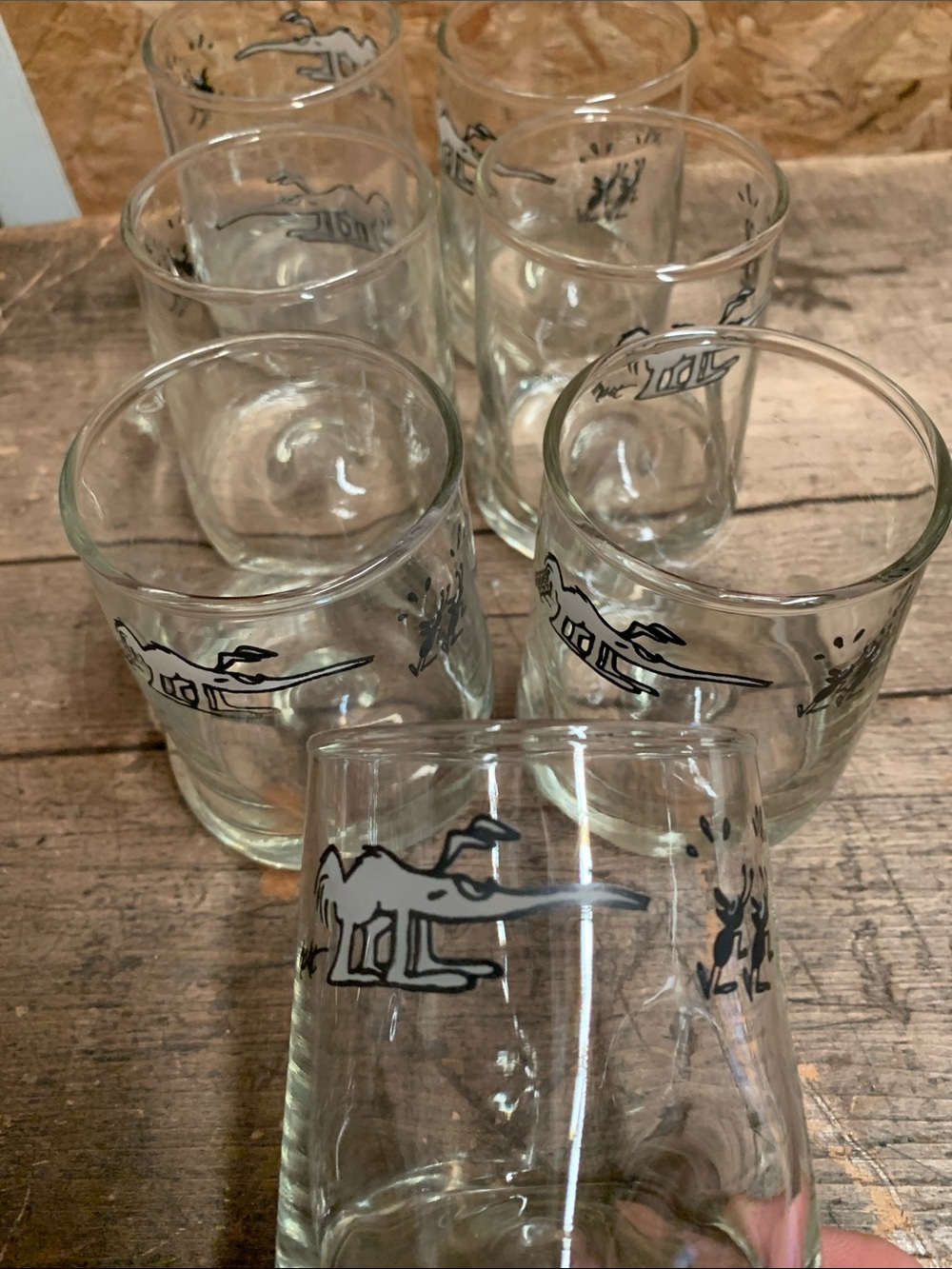 B.C. Glasses (7)